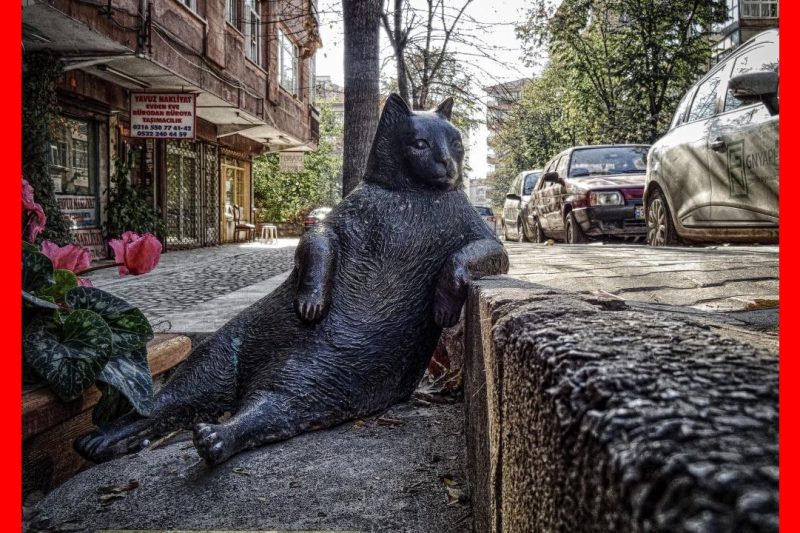 20 Modern Tips to Improve Your Health Insurance