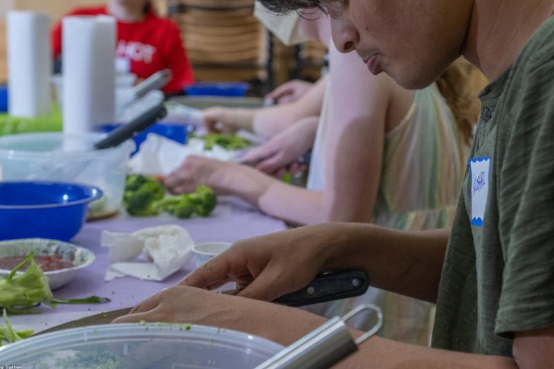 Step-by-Step: Secret Healthy Food for Pros